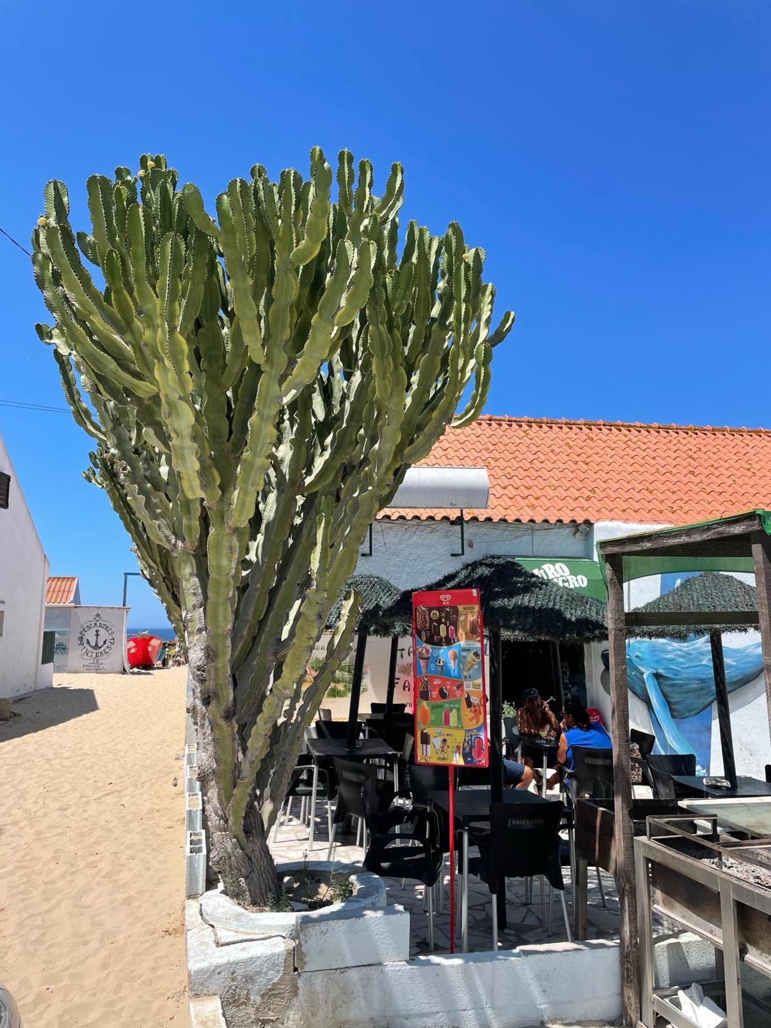 Sea View & Sundown, 150M From The Beach And Surf Spots Costa da Caparica Exterior photo